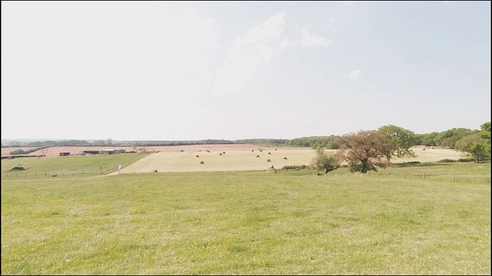 Trees and bales