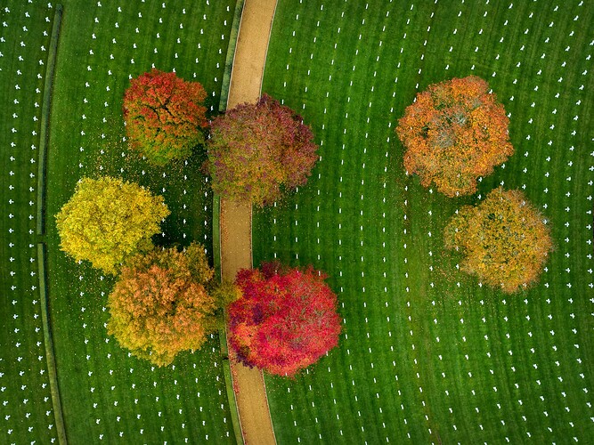 American_Cemetry01 copy