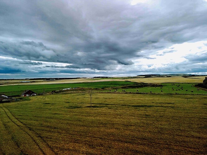 DJI_0351