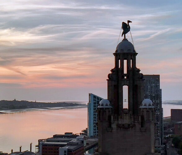 Screenshot_20251004-150313~2