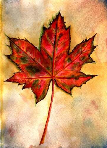 FallenLeaf