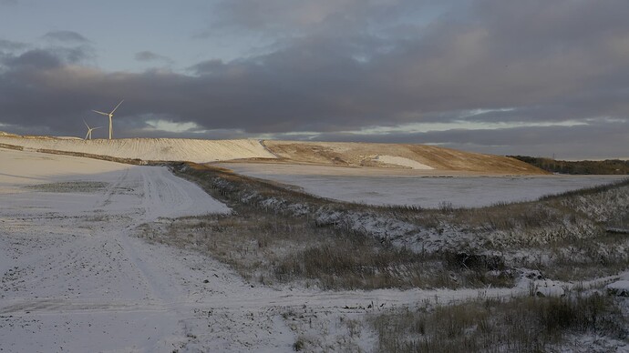 vlcsnap-2026-01-03-15h29m17s767