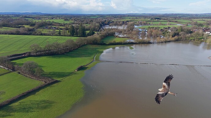 Red Kite and DJI Mini 5 Pro Jan 2026 (4)
