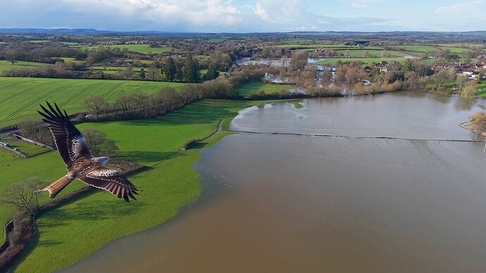 Red Kite and DJI Mini 5 Pro Jan 2026 (2)