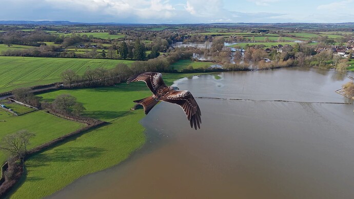 Red Kite and DJI Mini 5 Pro Jan 2026 (3)